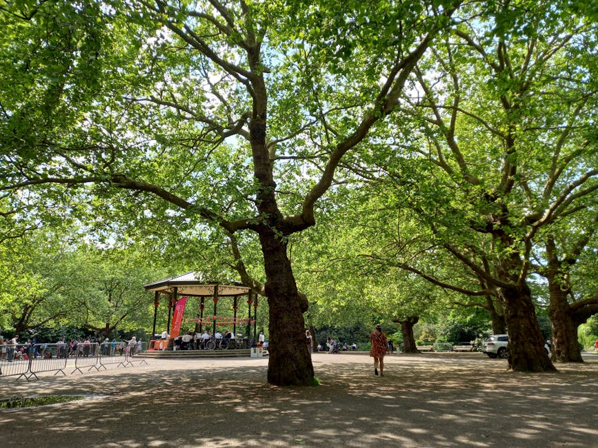 https://removalvanhammersmith.co.uk/blog/ravenscourt-park-moving-services-in-hammersmith-and-local-removals/